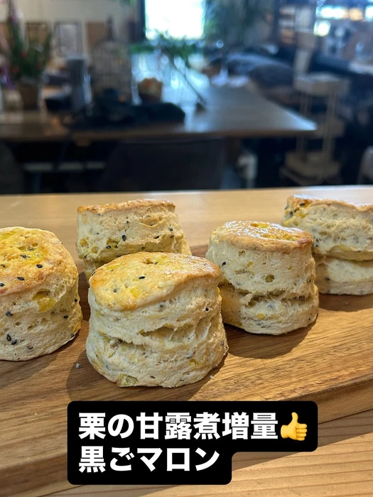 画像3081