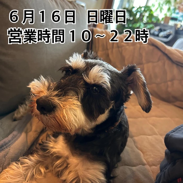 画像309