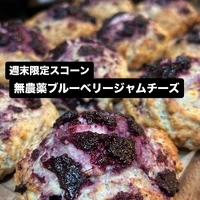 画像3153