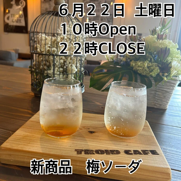 画像355