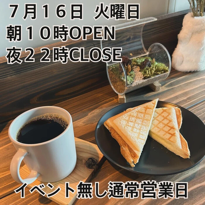 画像527