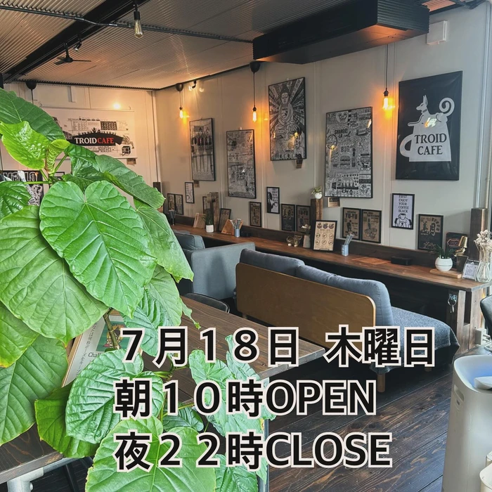 画像539