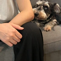 画像597