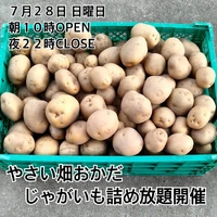 画像617