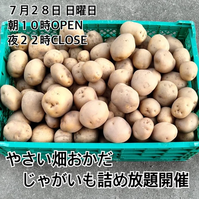 画像617
