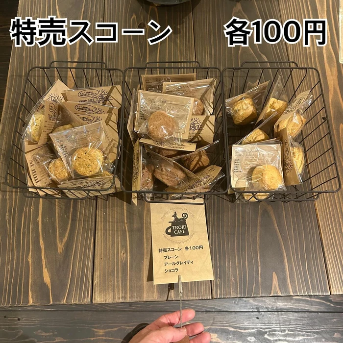 画像618