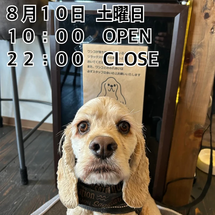 画像715