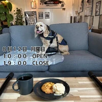 画像732