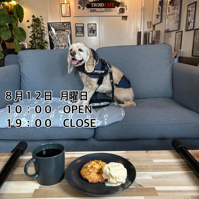 画像732