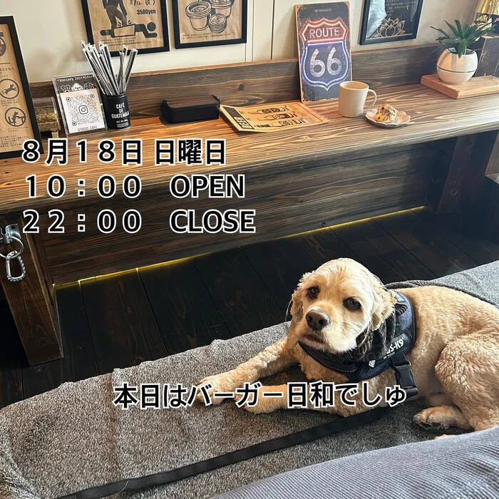 画像779