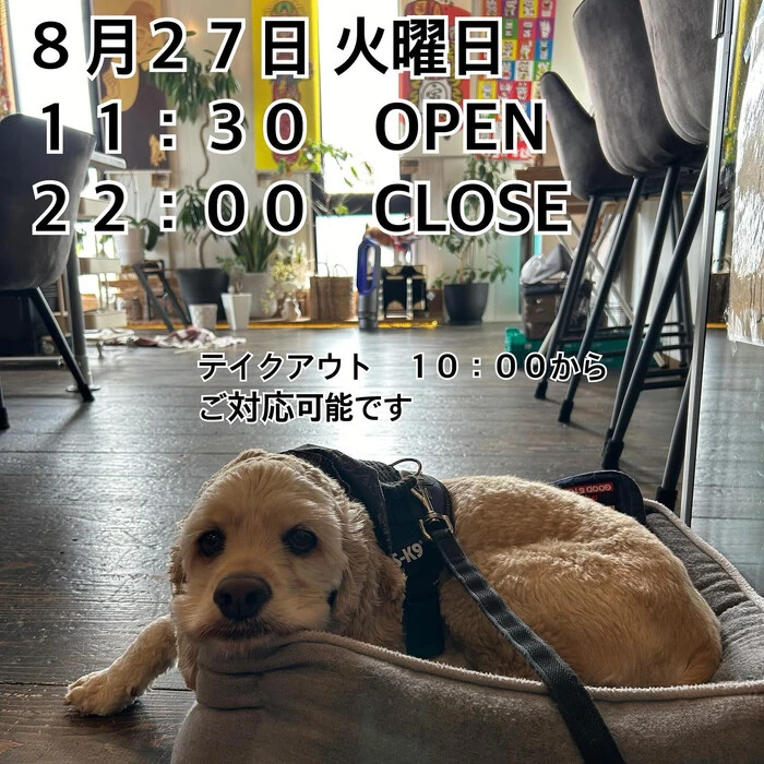 画像818