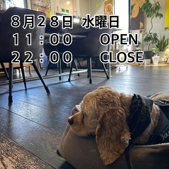 画像825