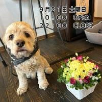 画像983